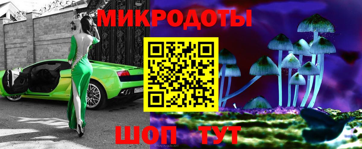 Галлюциногенные грибы Psilocybine cubensis Арзамас