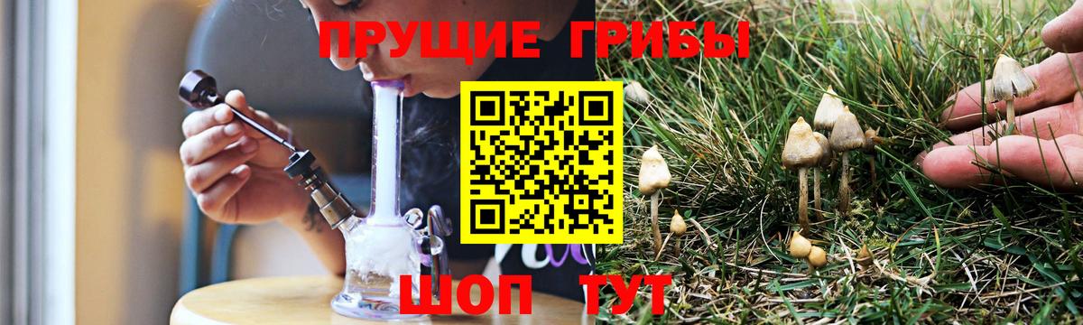 Псилоцибиновые грибы мицелий  Вход с VPN  Псилоцибиновые грибы прущие грибы  Арзамас 